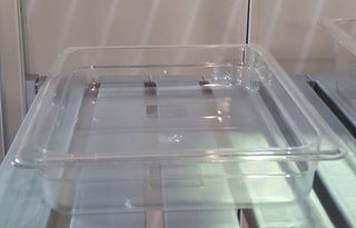Polycarbonate Clear GN 1/2 - 65mm - Item JD-P1206